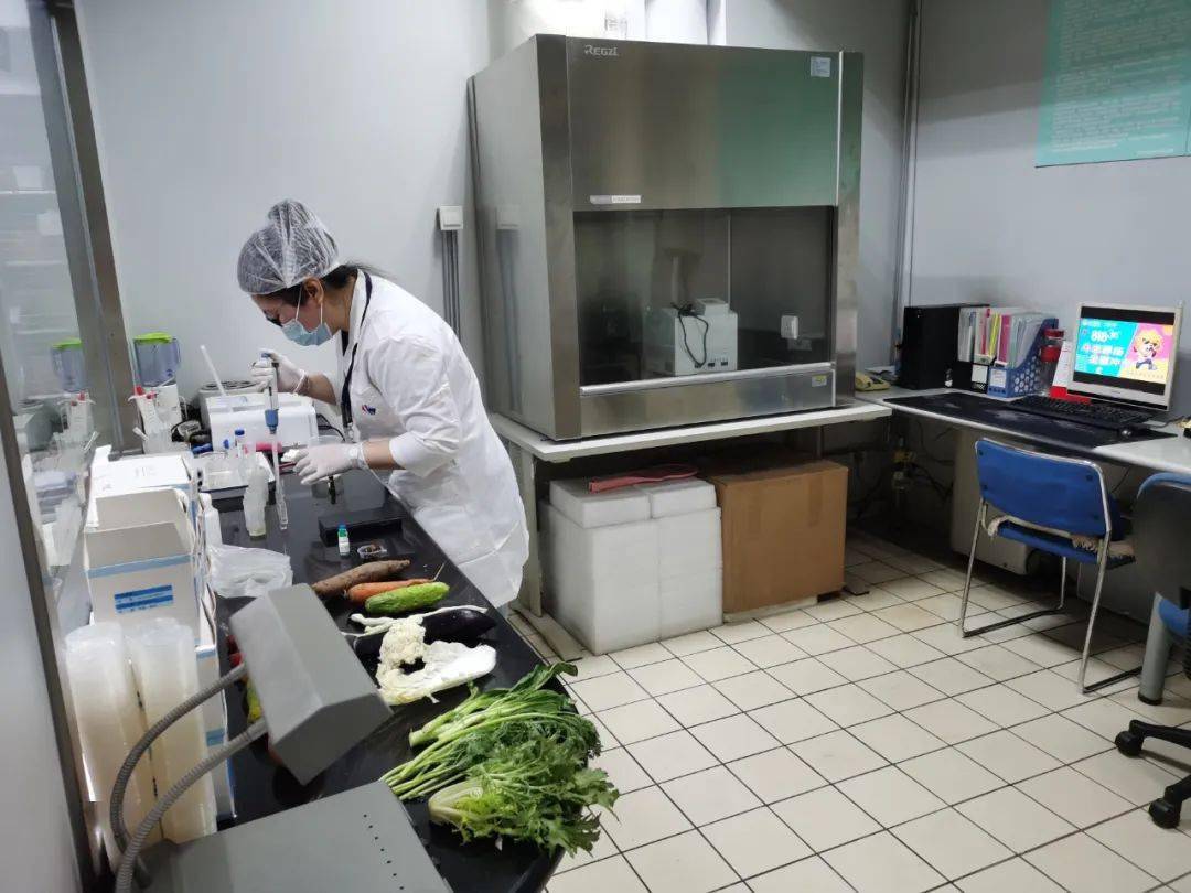 东川食品检测实验室装修方案